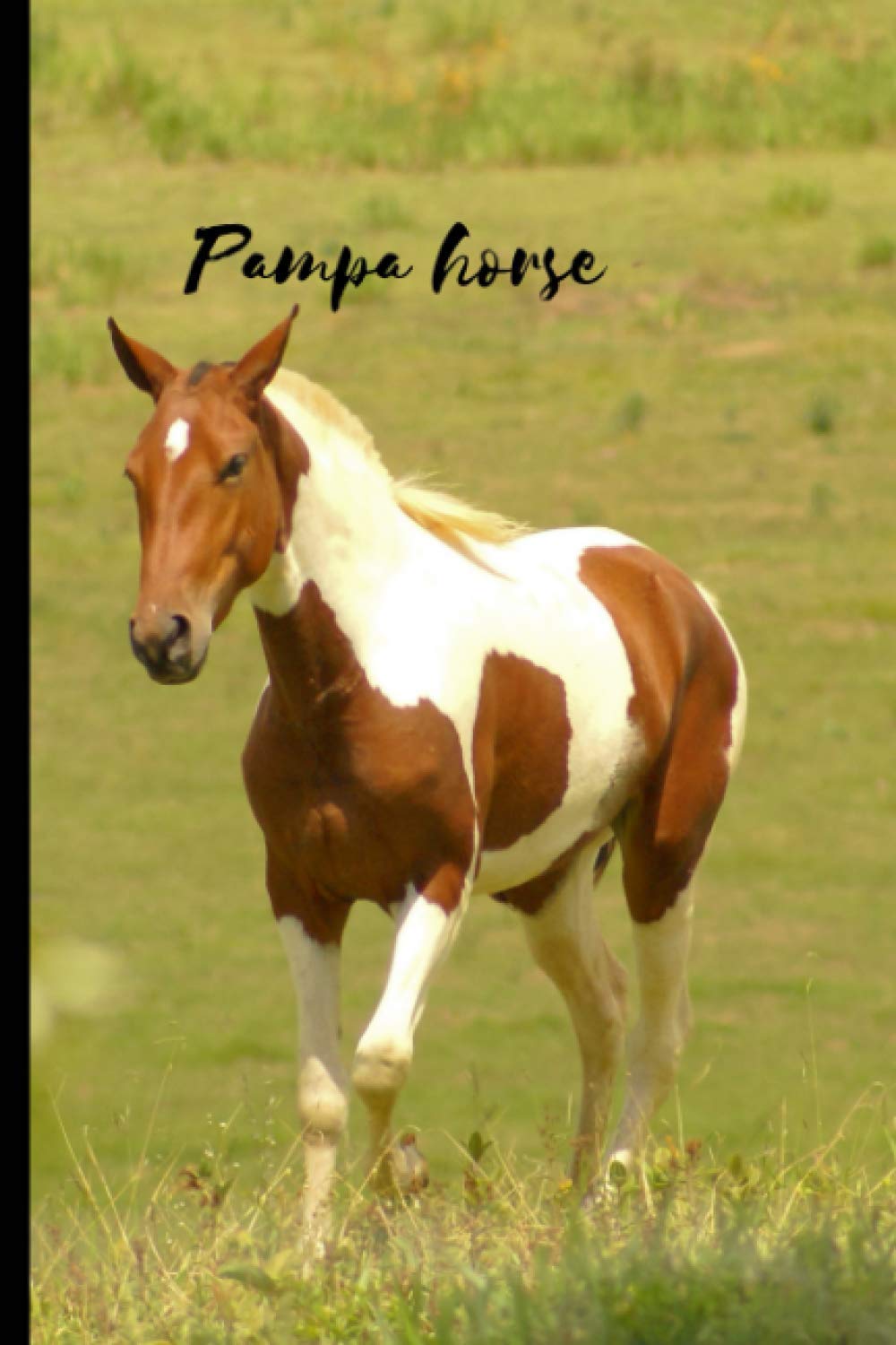 Pampa horse: Journal and Notebook - Composition Size (6"x9") With 120 Lined Pages, Perfect for Journal, Doodling, Sketching and Notes