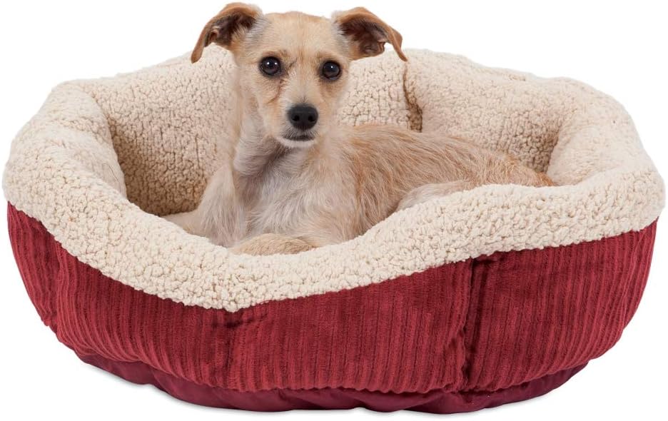 Aspen Pet Self-Warming Corduroy Pet Bed Several Shapes Assorted Colors : Pet Supplies