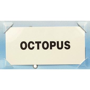 industrial plastic tags