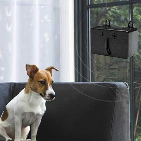zelers ultrasonic dog deterrent