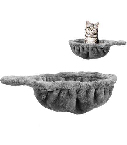 ◆Cat◆ Amazon.com: CLOUD NINE PRINTS Cat Watching a Spider Print