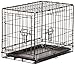 AmazonBasics Double-Door Folding Metal Dog Crate - 22 Inches