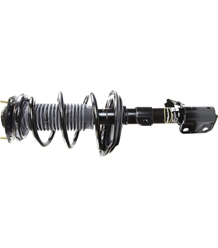 Amazon.com: Monroe Quick-Strut 172213 Suspension Strut and Coil