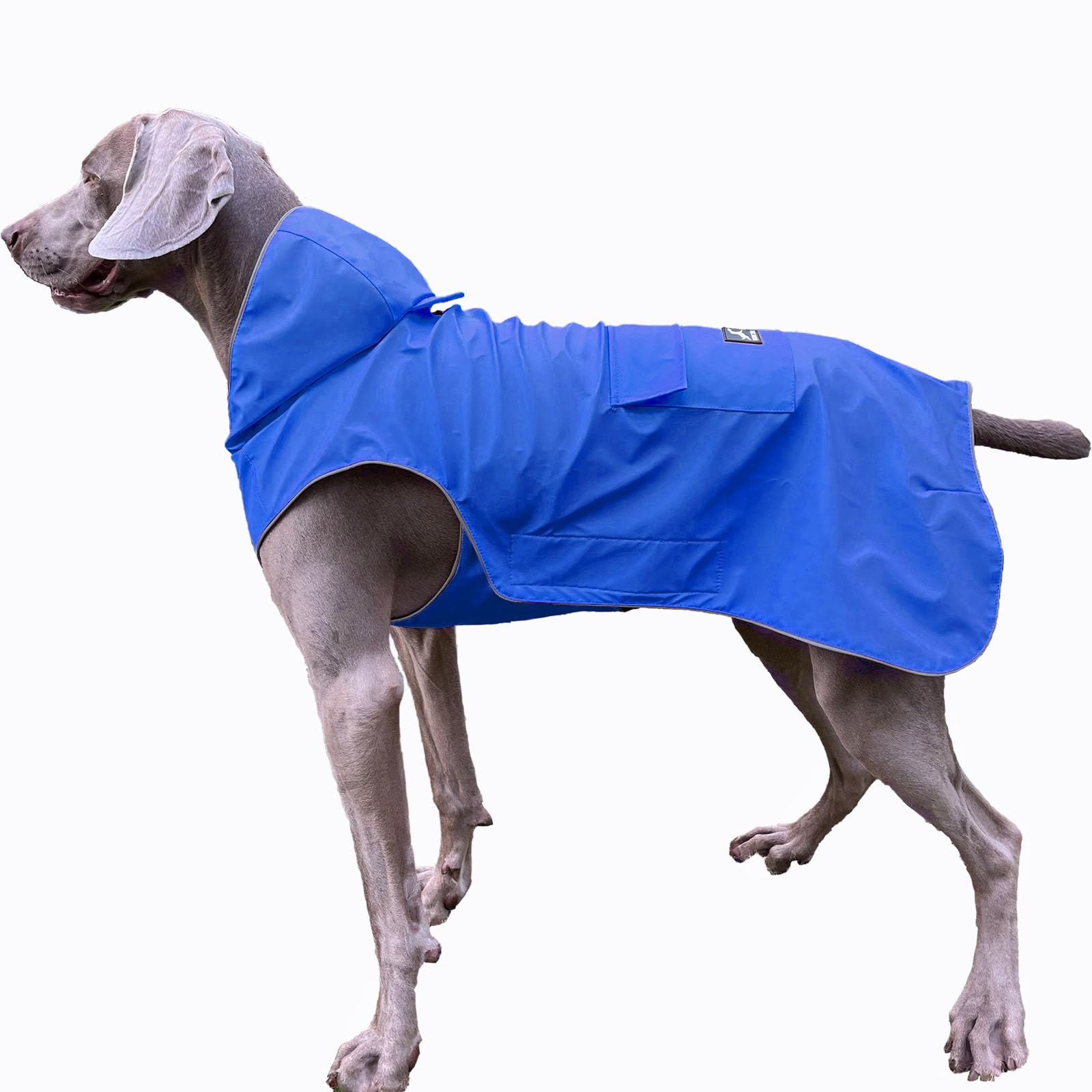 Photo 1 of FLYING TAIL Not Stiffen,Super Soft Hand Feel Dog Raincoat, Reflective, Adjustable, Easy Wear, Leash Hole for 2XSmall breed-5XLarge Breed Dogs (Blue, XXX-Large)