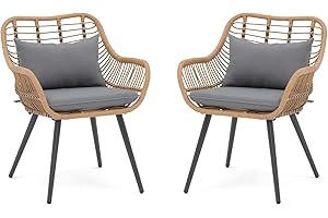 Verano Garden Set of 2 Patio Dining Chairs, Outdoor Wicker Seating Set with Soft Cushion for Indoor & Outdoor Use, Modern Wicker Dining Chairs for Backyard