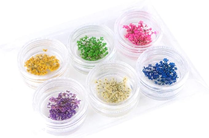 Amazon Princess Style ドライフラワー レースフラワー 押し花 レジン ネイル 30枚 6色 各5枚ケース入 アウトレット Princess Style ネイルアートパーツ 通販