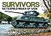 Survivors: Battlefield Relics of WWII by 