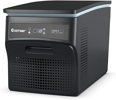 Congélateur à compresseur COSTWAY