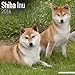 Shiba Inu Calendar - Breed Specific Shiba Inu Calendar - 2016 Wall calendars - Dog Calendars - Monthly Wall Calendar by Avonside
