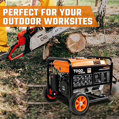 Togo Power Portable Generator, 3600 Peak Watts 120 Volts Industrial