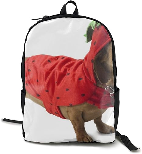beautiful backpacks for school