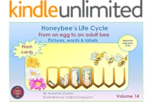 kindle best category lists