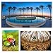 ELINKA 3 in 1 180 Degree Fisheye Lens & 10X Macro Lens & 0.65X Super Wide Angle Lens, Clip on Cell Phone Lens Camera Lens Kits for iPhone 7, 6s, 6, 5s Samsung,BlackBerry Most SmartphonesBlack