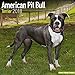 American Pit Bull Terrier Calendar - Dog Breed Calendars - 2017 - 2018 wall Calendars - 16 Month by Avonside