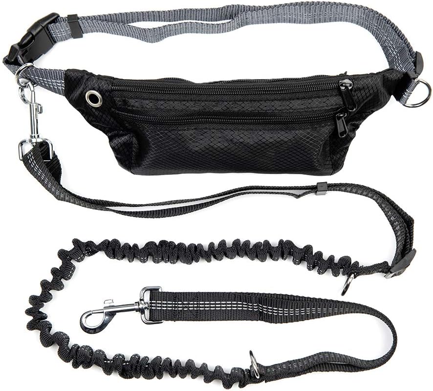 guinzagli per cani a mani libere