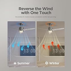 VAGIZM Ceiling Fan 52'' with Light: Modern Remote