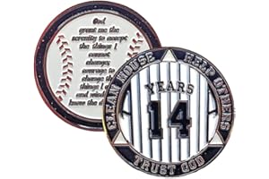 MYRECOVERYSTORE 14 Year AA Medallion Pinstripe Yearly Alcoholics Anonymous chip w/Coin Holder