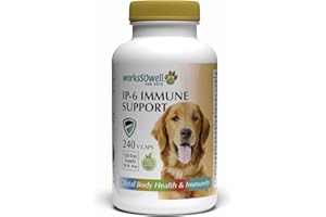 1-TDC WorksSoWell IP-6 Immune Support for Dogs – 240 V-Caps – Helps Promote Healthy Bones, Teeth, Kidney, Liver Functions and Cardiovascular Health – Total Body Health and Immunity
