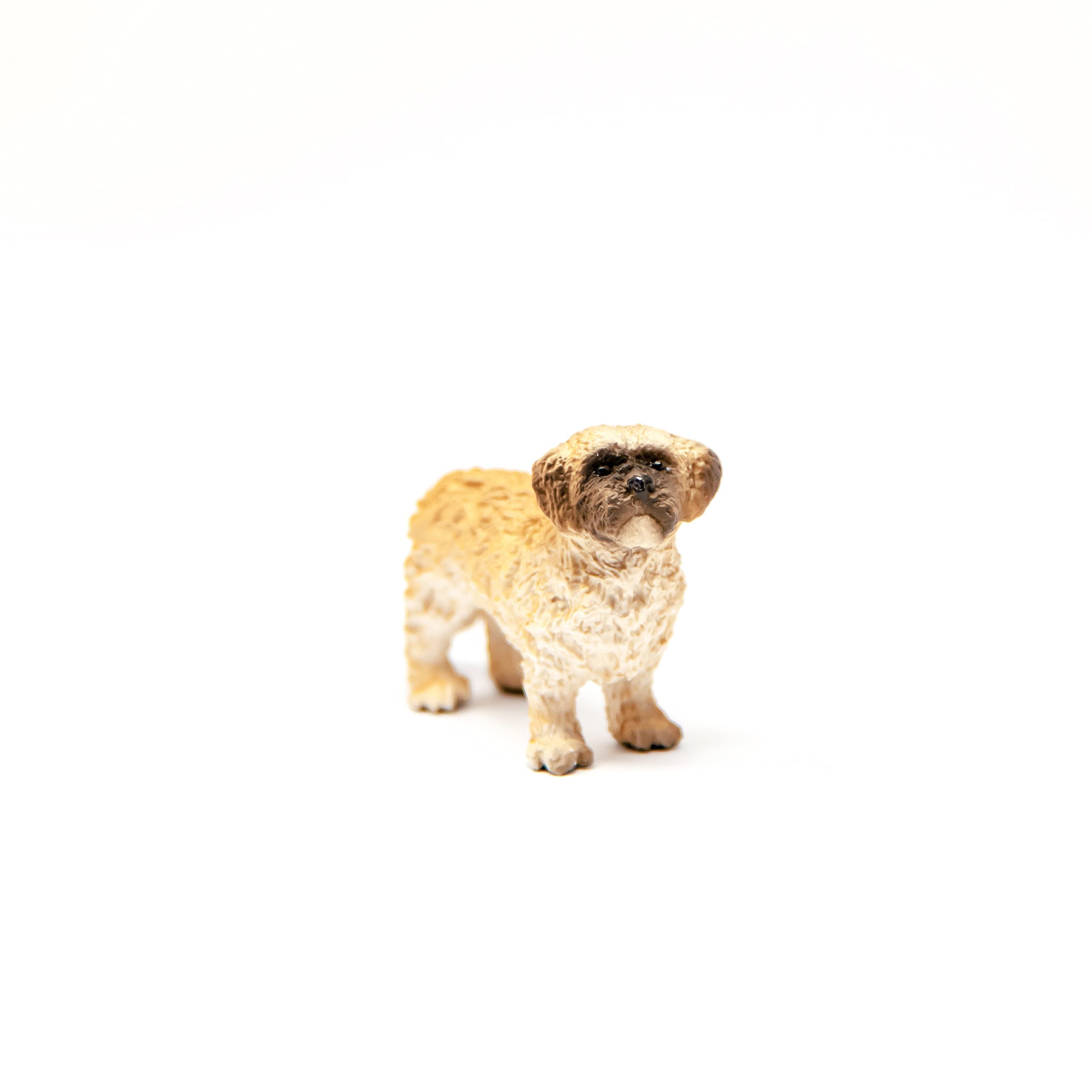 Schleich Shih Tzu Maltese