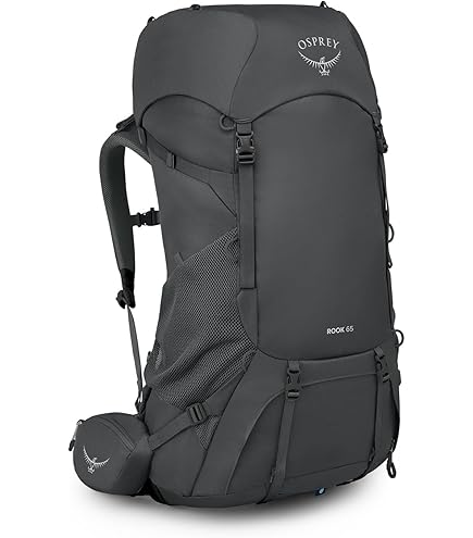 Osprey Atmos AG 65L Men's Backpacking Backpack, Black, L/XL : Sports & Outdoors