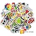 100 PREMIUM Stickers Decals Vinyls | Pack of The Best Selling Cool Sticker | Perfect To Graffiti Your Laptop, Macbook, Skateboard, Luggage, Car, Bumper, Bike, Hard Hat | The Bryta Store