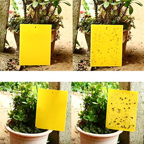 COVASA 20-Pack Sticky Fly Paper Strips, Fly Trap , Fly Ribbons,Dual-Sided Yellow Sticky Traps for Flying Plant Insect