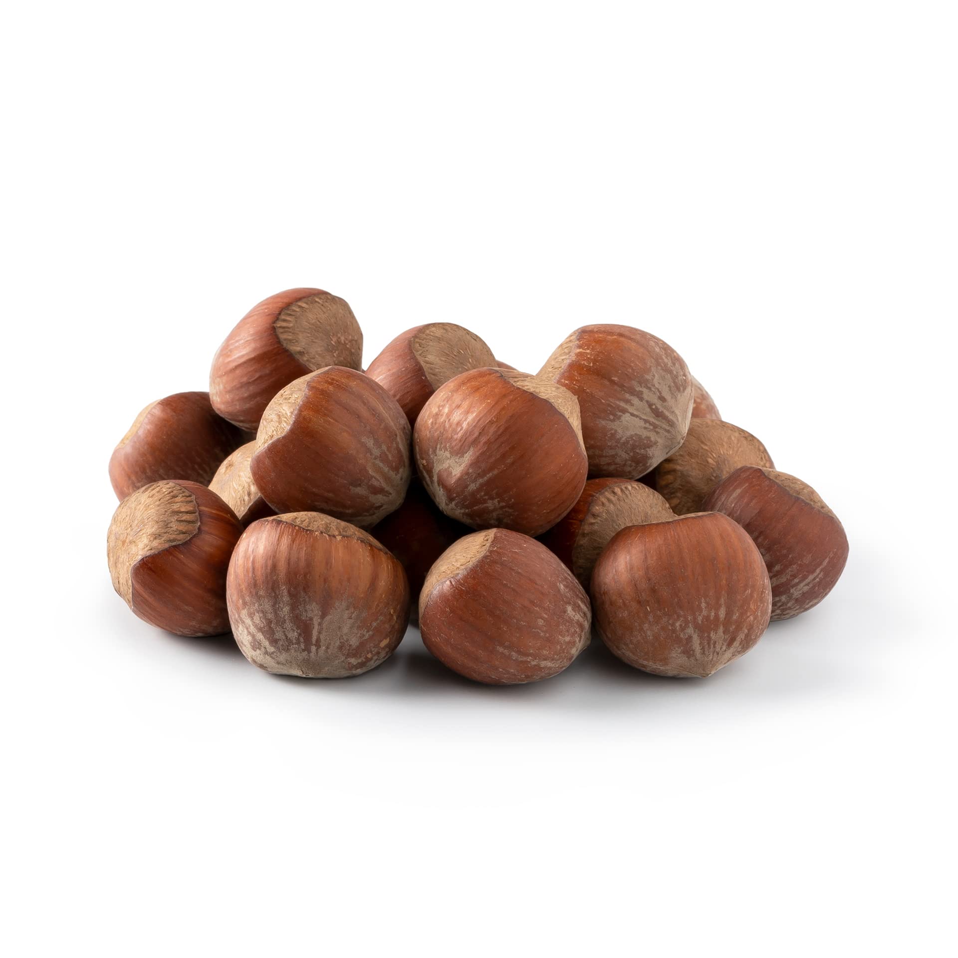NUTS U.S. - Oregon Hazelnuts In shell | Whole, Raw