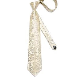 DiBanGu Silk Paisley Ties for Men Woven Necktie and
