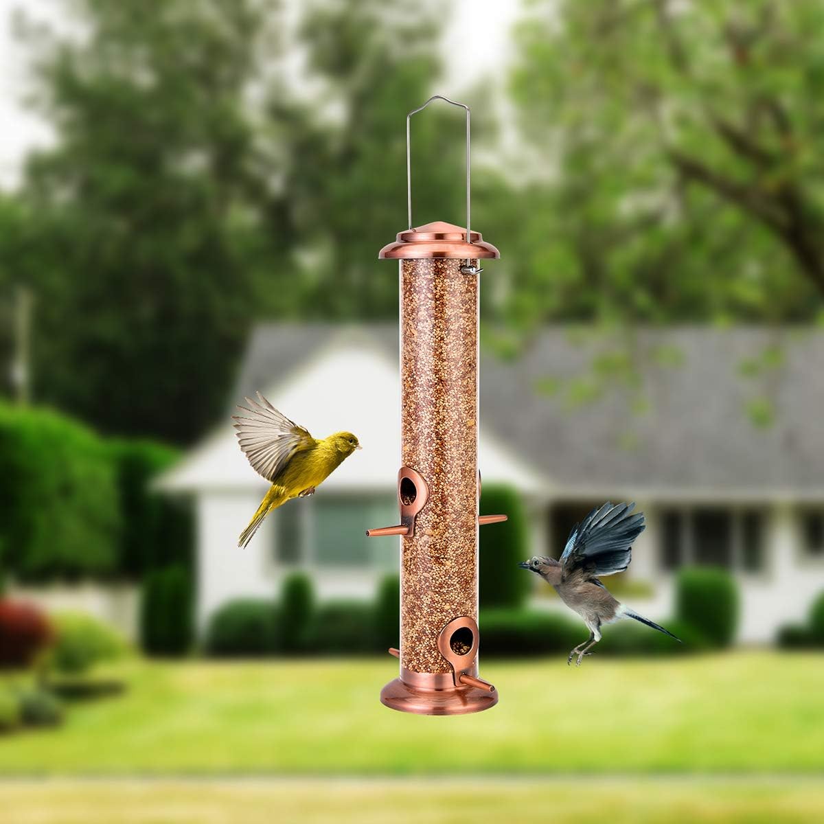 Bird Feeder Hanging Wild Bird Seed Feeder for Mix Seed Blends Heavy Duty All Metal Anti-UV Finishing, Copper Finish, 14 Inch (Seed is not Included) : Garden & Outdoor