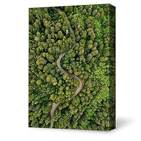 Canvas Wall Art for Living Room,Bedroom Home Artwork Paintings Aerial Photo of Scenery Ready to Hang - 12x18 inches