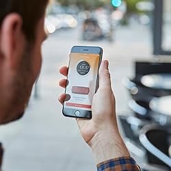 Anova Culinary Sous Vide Precision Cooker | WiFi