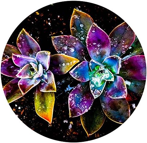 Pretty Flowers Mouse pad, Durable Non Slip Rubber Mouse Pad Desktop Round Mat