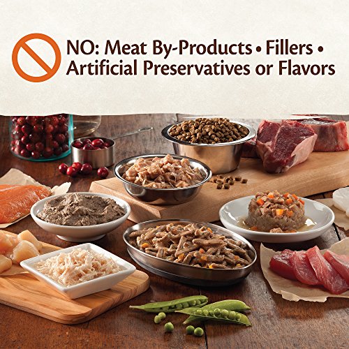 Wellness CORE GrainFree Wet Cat Food, Natural Canned Food for Cats