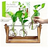 Renmxj Plant Propagation Stations with Wooden Stand & 3 Glass Bulb Vases - Plant Terrarium for Indoor Plants, Home Office Desk Decor, Gardening Gifts for Women Mom, Birthday Gifts for Plants Lovers