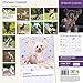 Chinese Crested 18 Month 2016 Traditional Wall Calendar