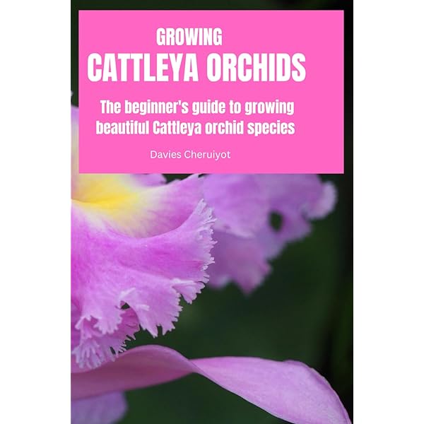 Orchid Species Culture: Dendrobium: Baker, Charles O., Baker