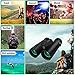 Cayzor 12x42 Binoculars for Adults Compact Clear HD Weak Light Vision Bird Watching - Professional for Travel Stargazing Hunting Concerts Sports - BAK4 Prism FMC Lens Strap Carrying Bag