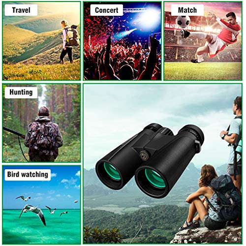 3 Cayzor+Binoculars+Adults+Compact+Bird+Watching