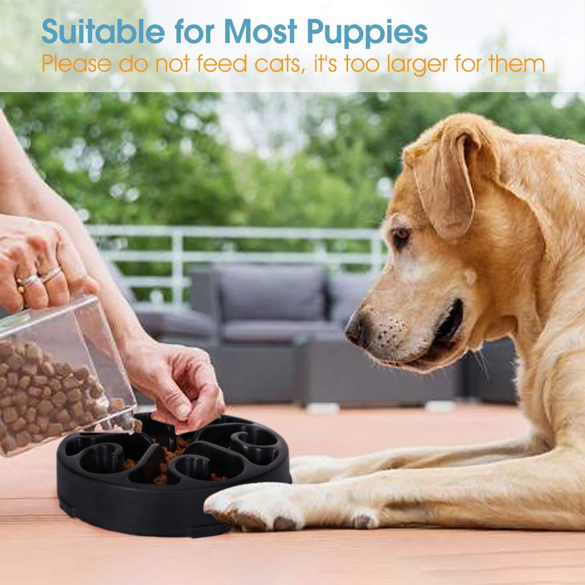 Whippy Fun Slow Feeder Dog Bowl, Upgrade Non Slip Puzzle Bowl Fun Feeder Interactive Bloat Stop Dog Bowl (Black, 1.5-2 Cup)