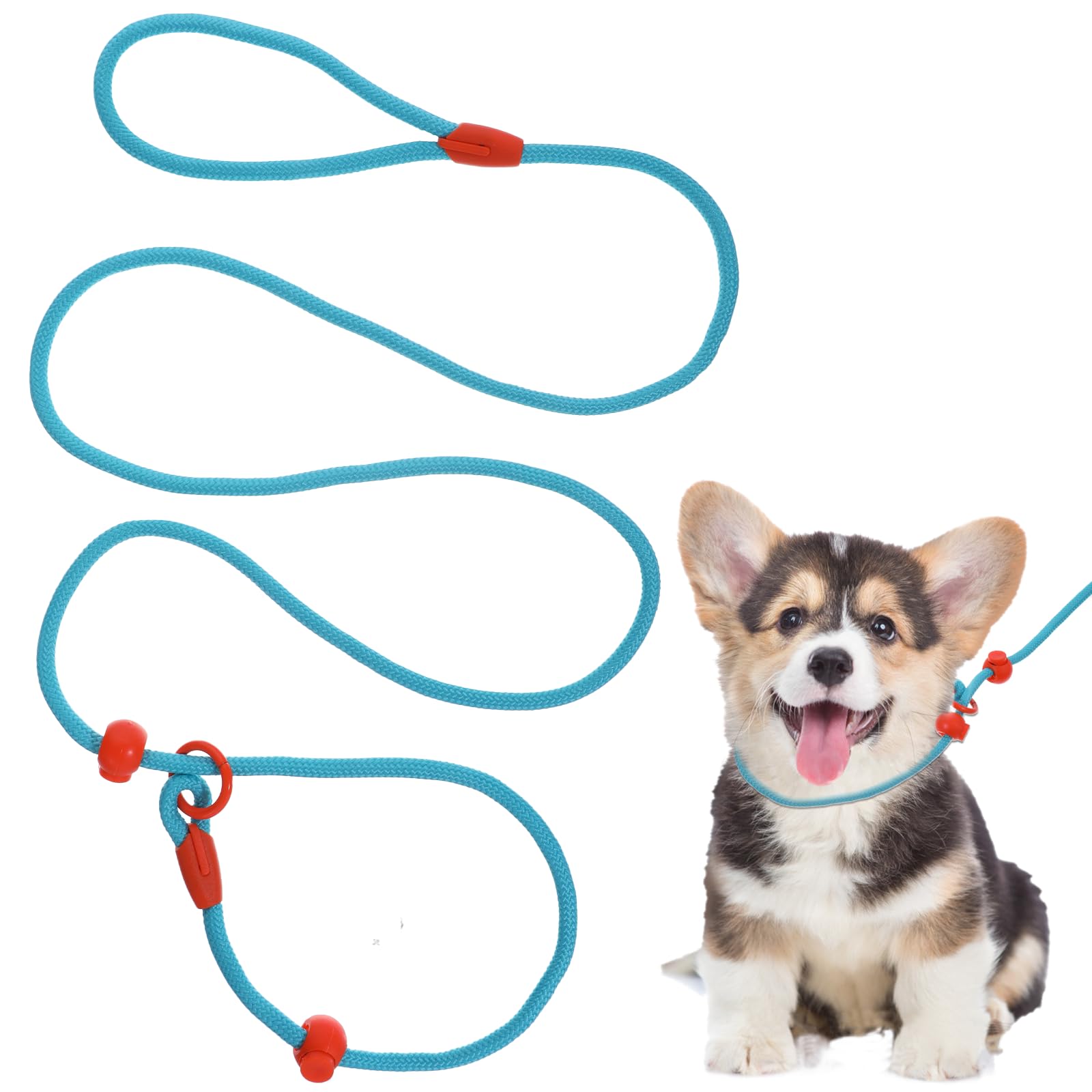 Photo 1 of Slip Lead Dog Leash, 5 FT Rope Dog Leash, Puppy Training Leash, Heavy Duty Adjustable Nylon Dog Rope Leash Slip Leash, No Pull Training Lead Leashes, Slip Leash for Small Dogs
