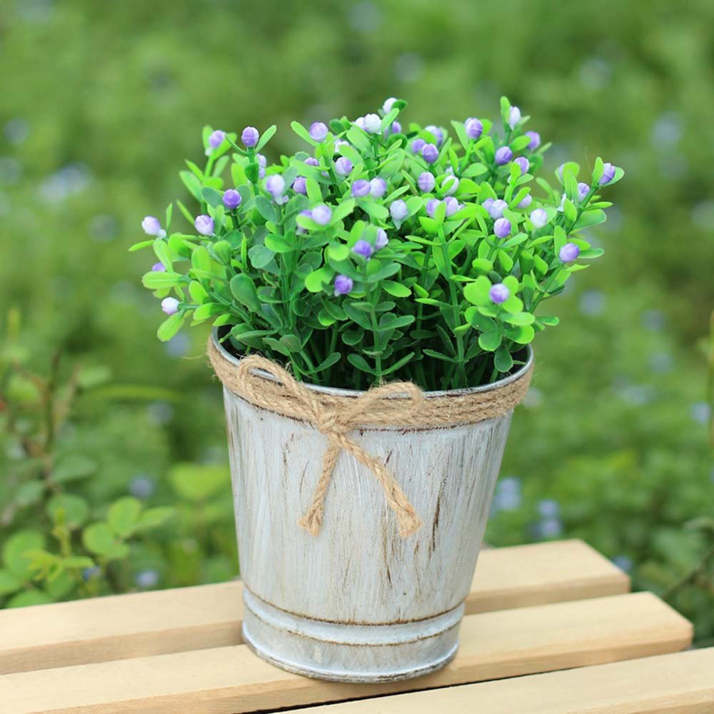 Best Garden Bed Liner Seed Hole