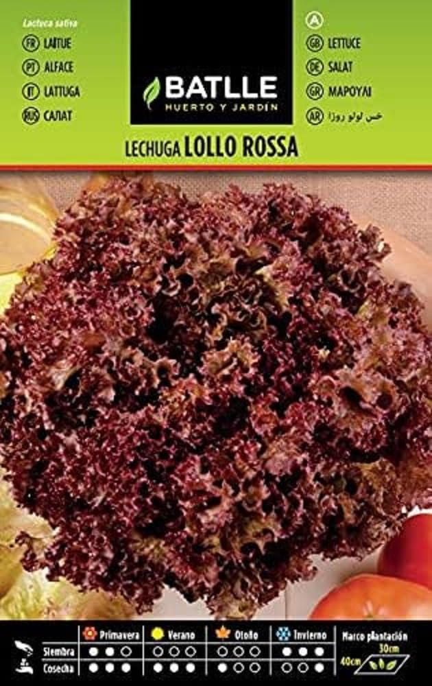 Seeds Batlle Batavia Milk Lollo Rosso Lettuce