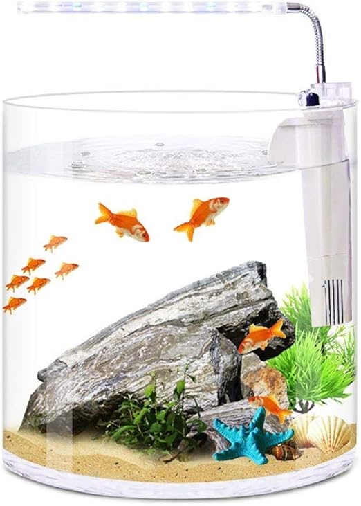 fish tank small size