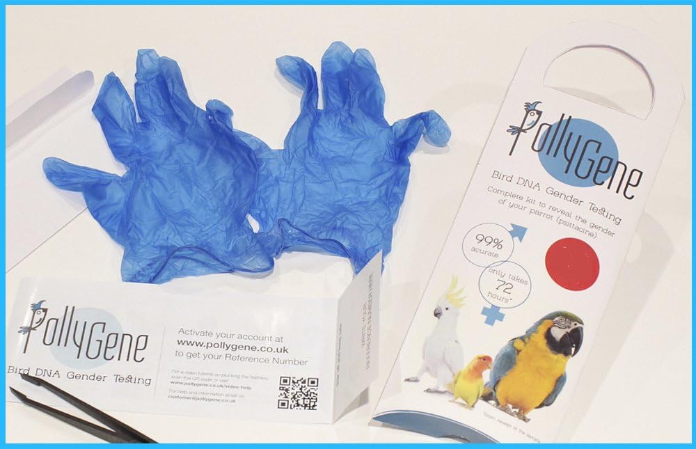 1 Bird Dna Gender Testing Kit For Parrots Lovebirds Cockatoos Macaw Grey African Cockatiels Conure And More Than 300 Psittacines Collection Kit Certificate Included Amazon Co Uk Pet Supplies