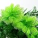 Saim Large Aquarium Plants Plastic 12 Inch Artificial Green Seaweed Water Plants Fish Tank Plants Decorations