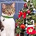 BINGPET Christmas Cat Collar Breakaway with Bell and Charm, Safety Adjustable Kitten Collars 2 Pack
