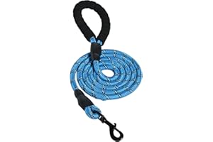 Amazon Basics Round Dog Leash, Heavy Duty, Durable Rope for Small, Medium, and Large Dogs, Lightweight Design for Walking, Training, and Outdoor Activities, Blue, 6 Ft