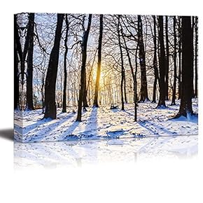 Winter Forest Sunset Lovely Blue Snow Color and...