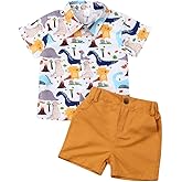 VISGOGO Toddler Baby Boy Flamingo Short Sleeve Button Down Shirt & Casual Shorts Set Summer Outfits 1-6 Years Clothes