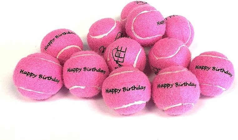 collie aussie mix puppies